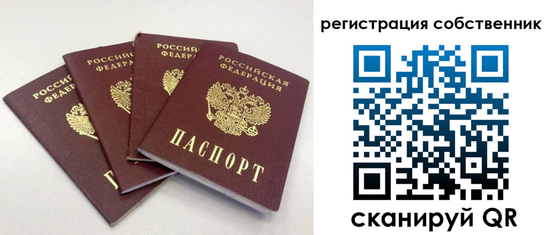 прописка для школы в Жукове
